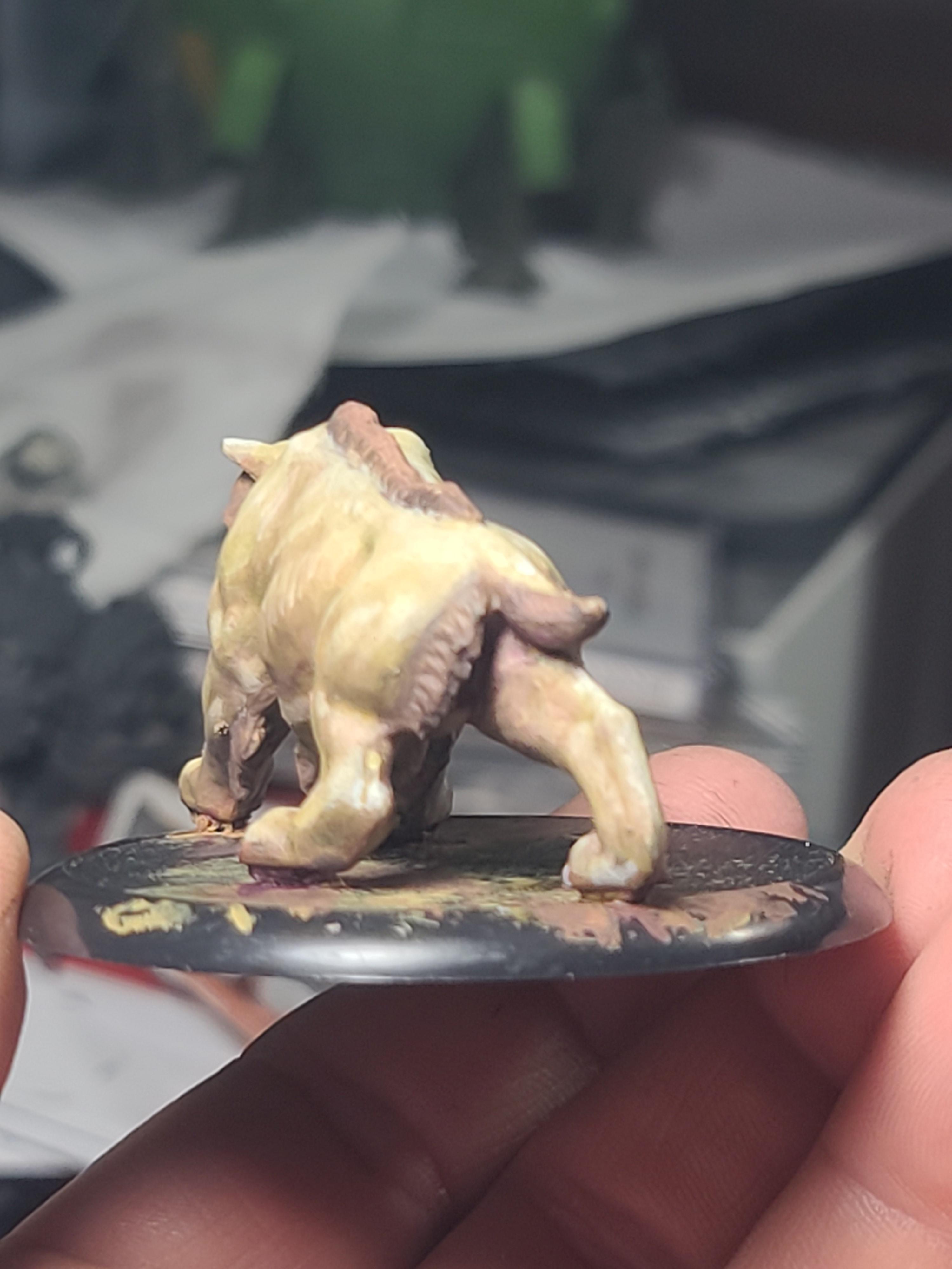 Big Cat, Dungeons And Dragons, Lion, Reaper Miniatures, Sabretooth Tiger