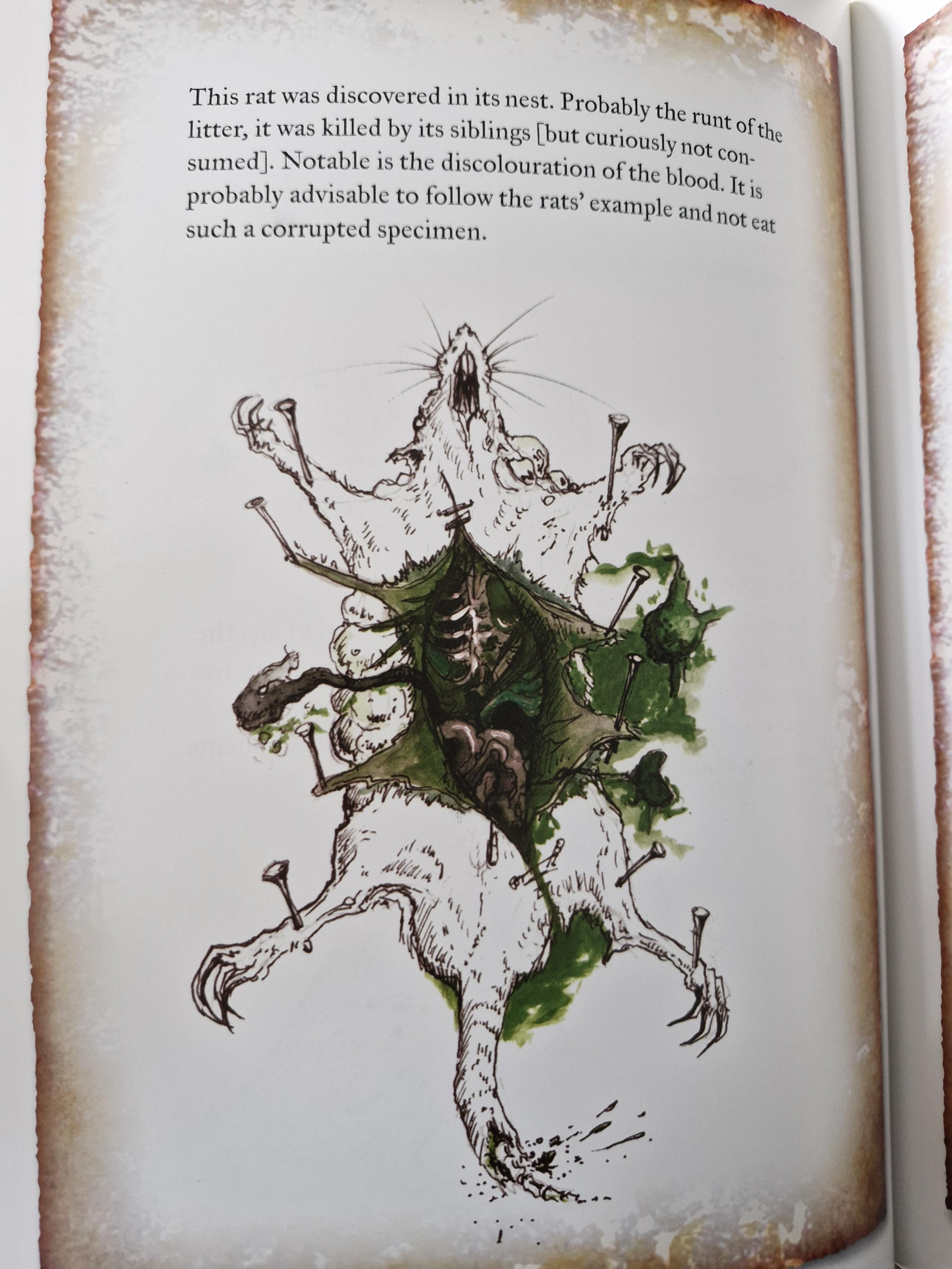 Armageddon, Fauna, Flora, Warhammer 40,000