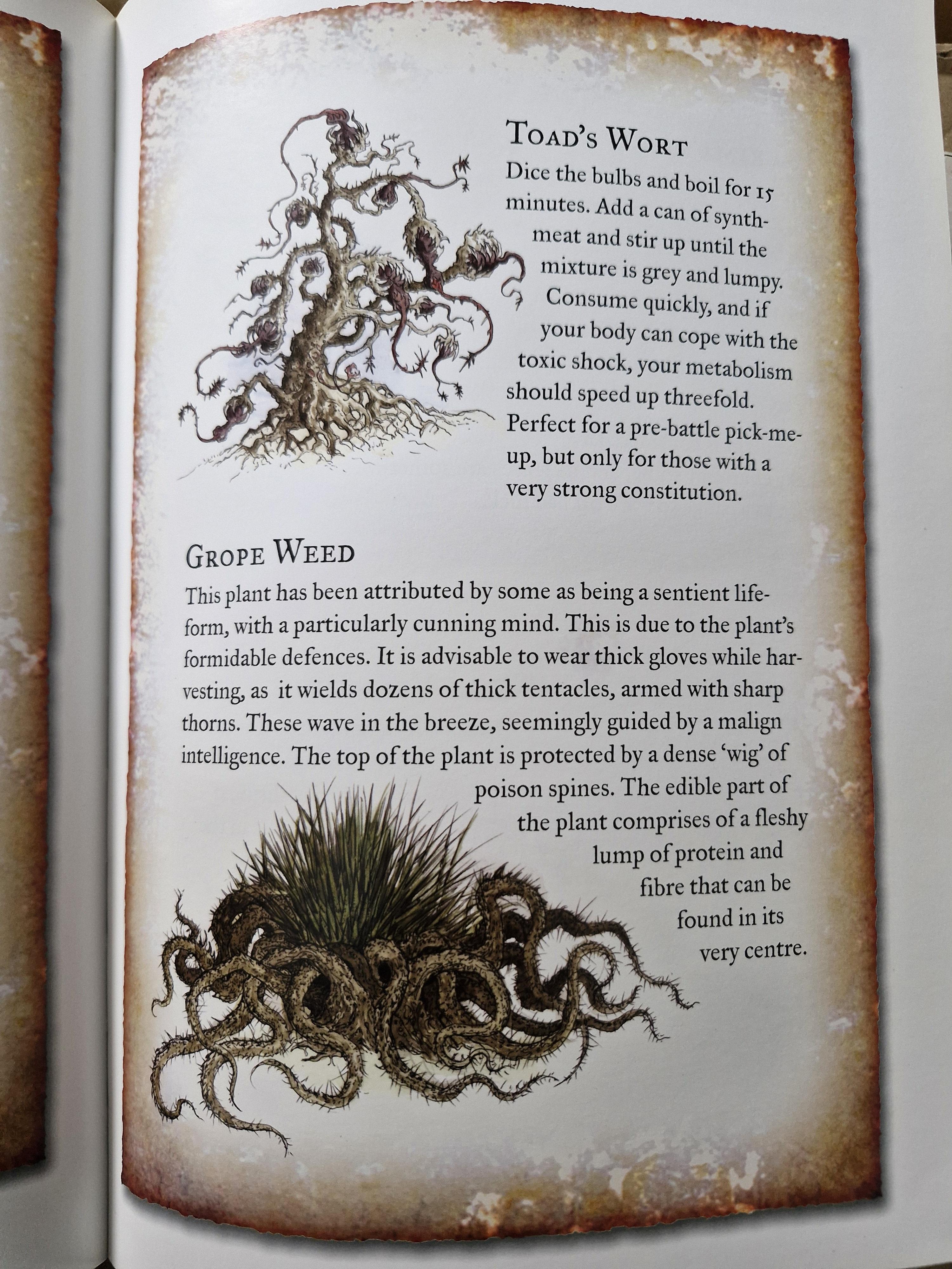 Armageddon, Fauna, Flora, Warhammer 40,000