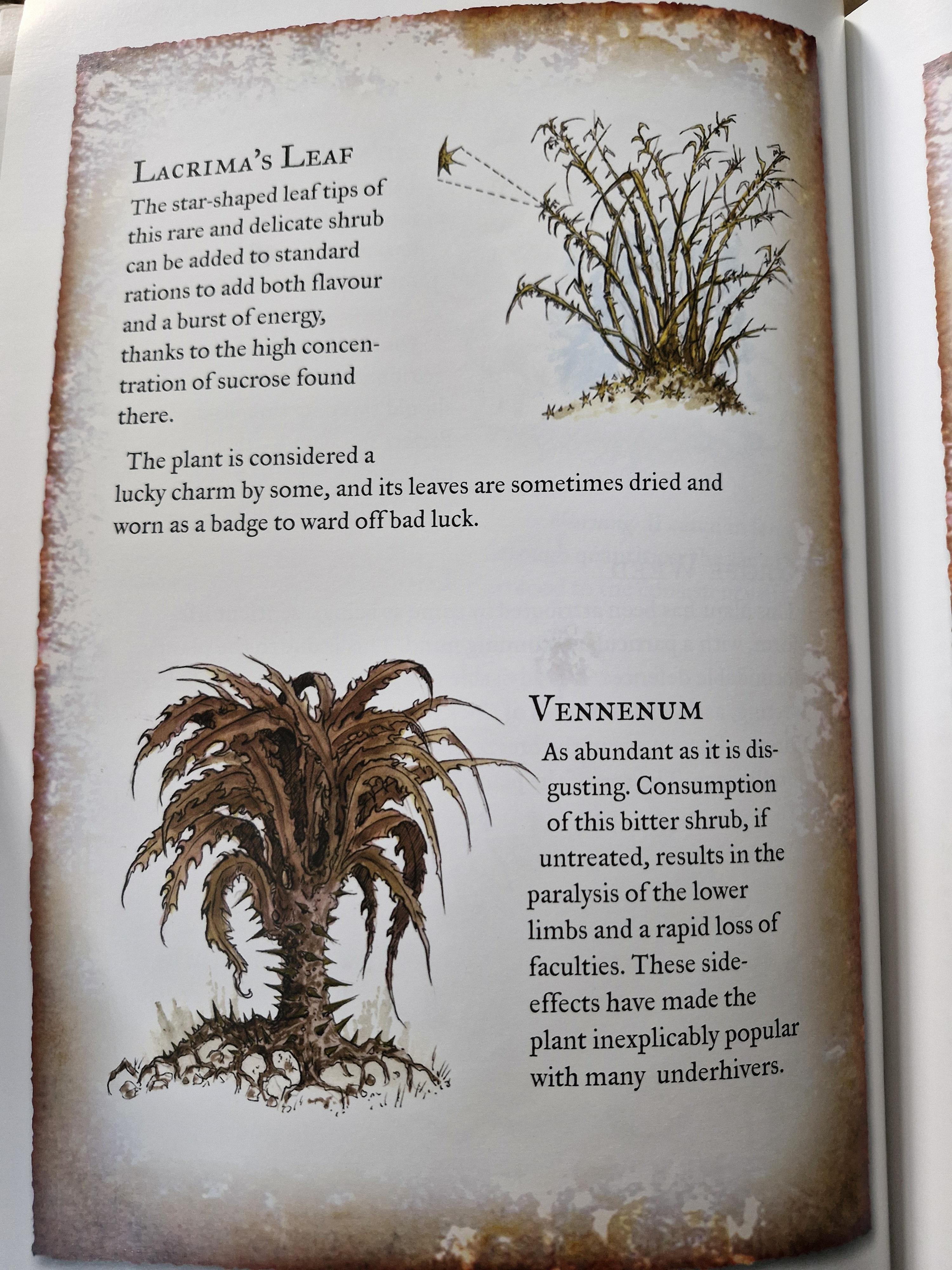 Armageddon, Fauna, Flora, Warhammer 40,000