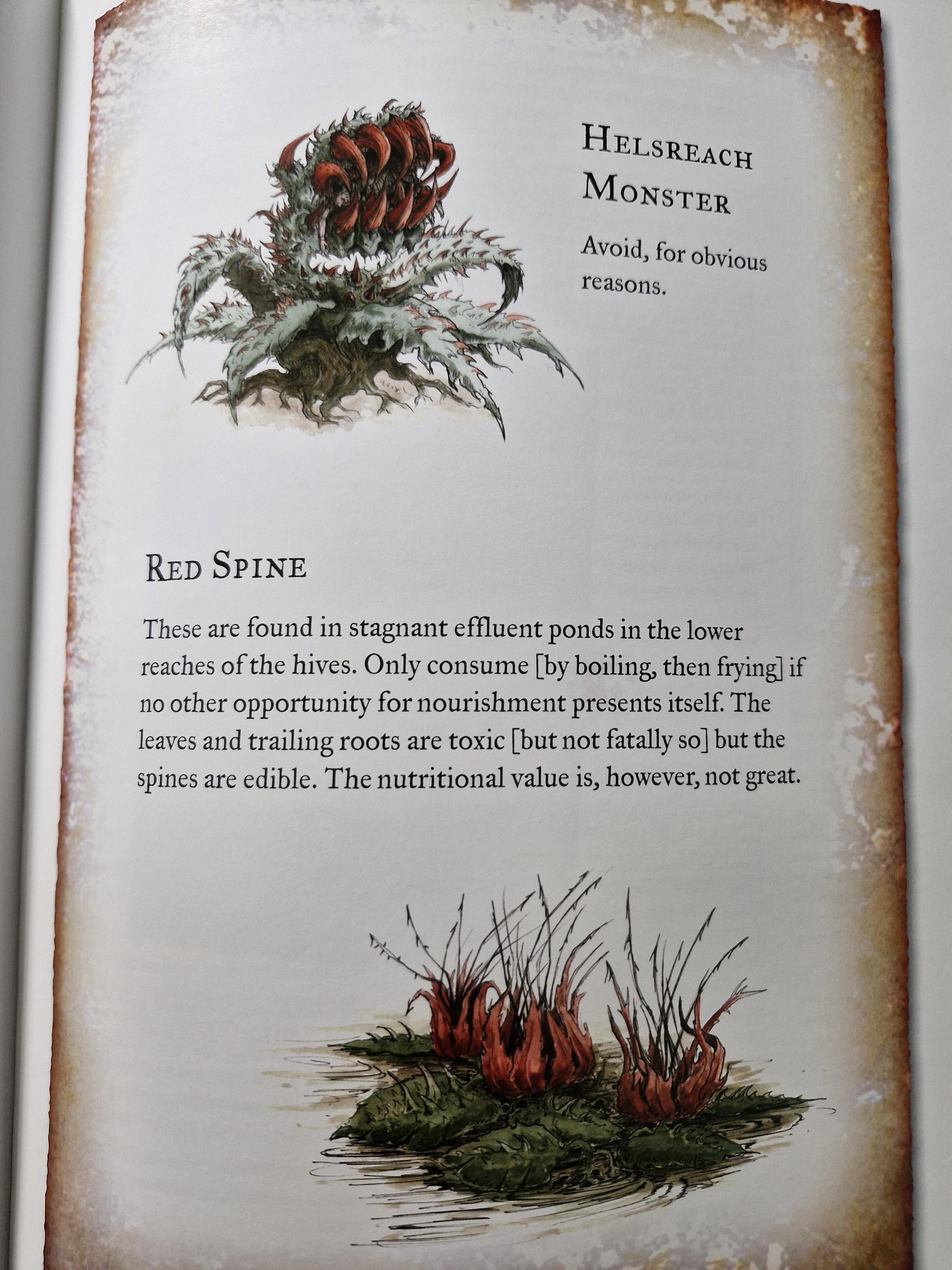 Armageddon, Fauna, Flora, Warhammer 40,000