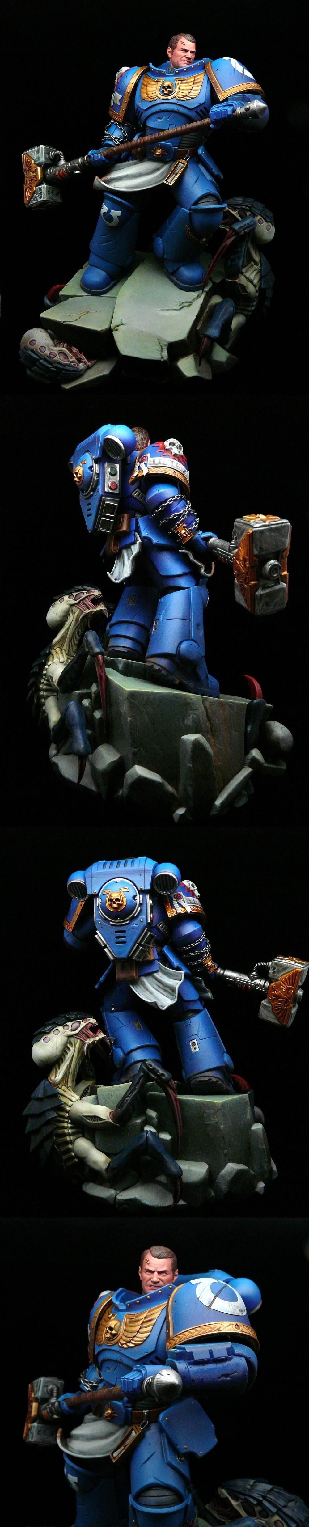 Adeptus Astartes, Demetrian Titus, Primaris, Space Marines, Ultramarines
