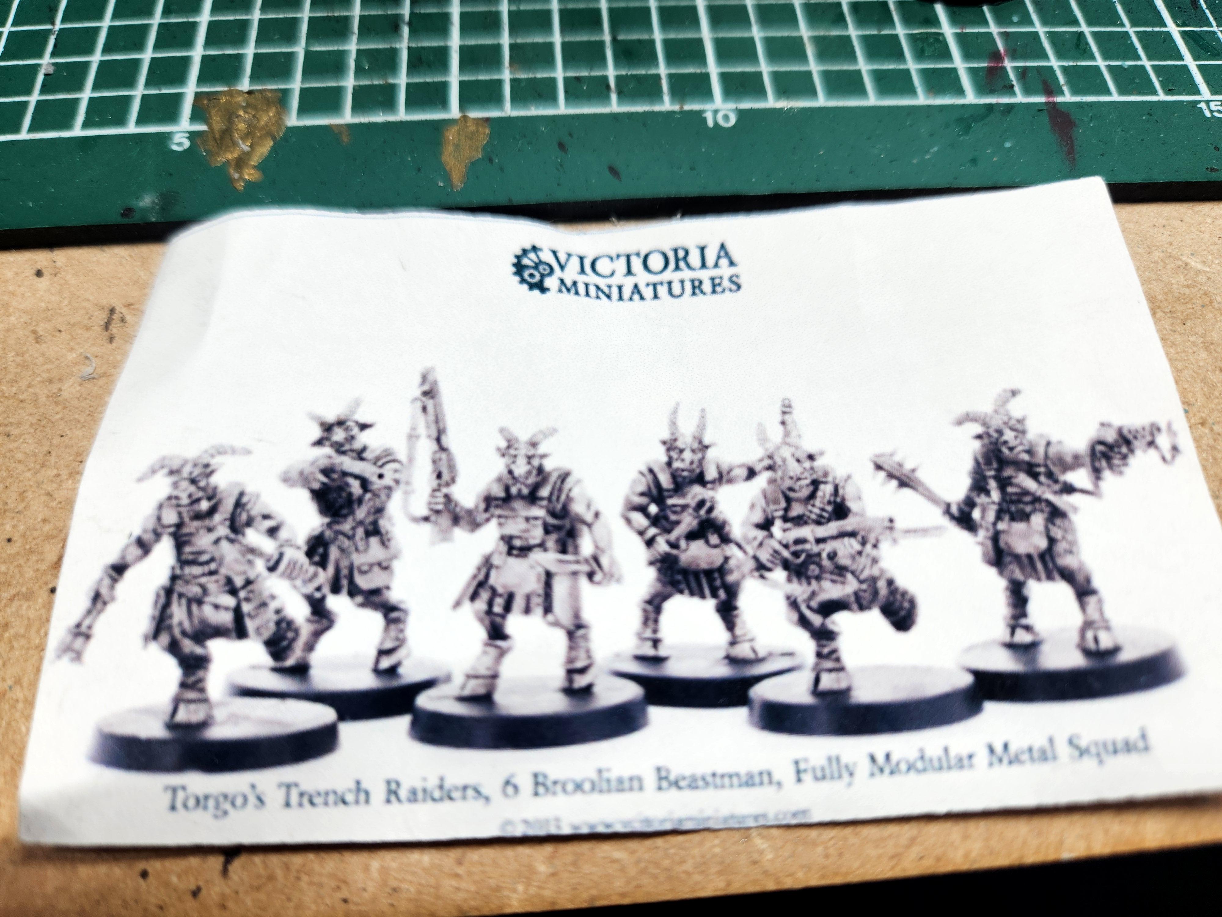 Torgo's Trench Raiders