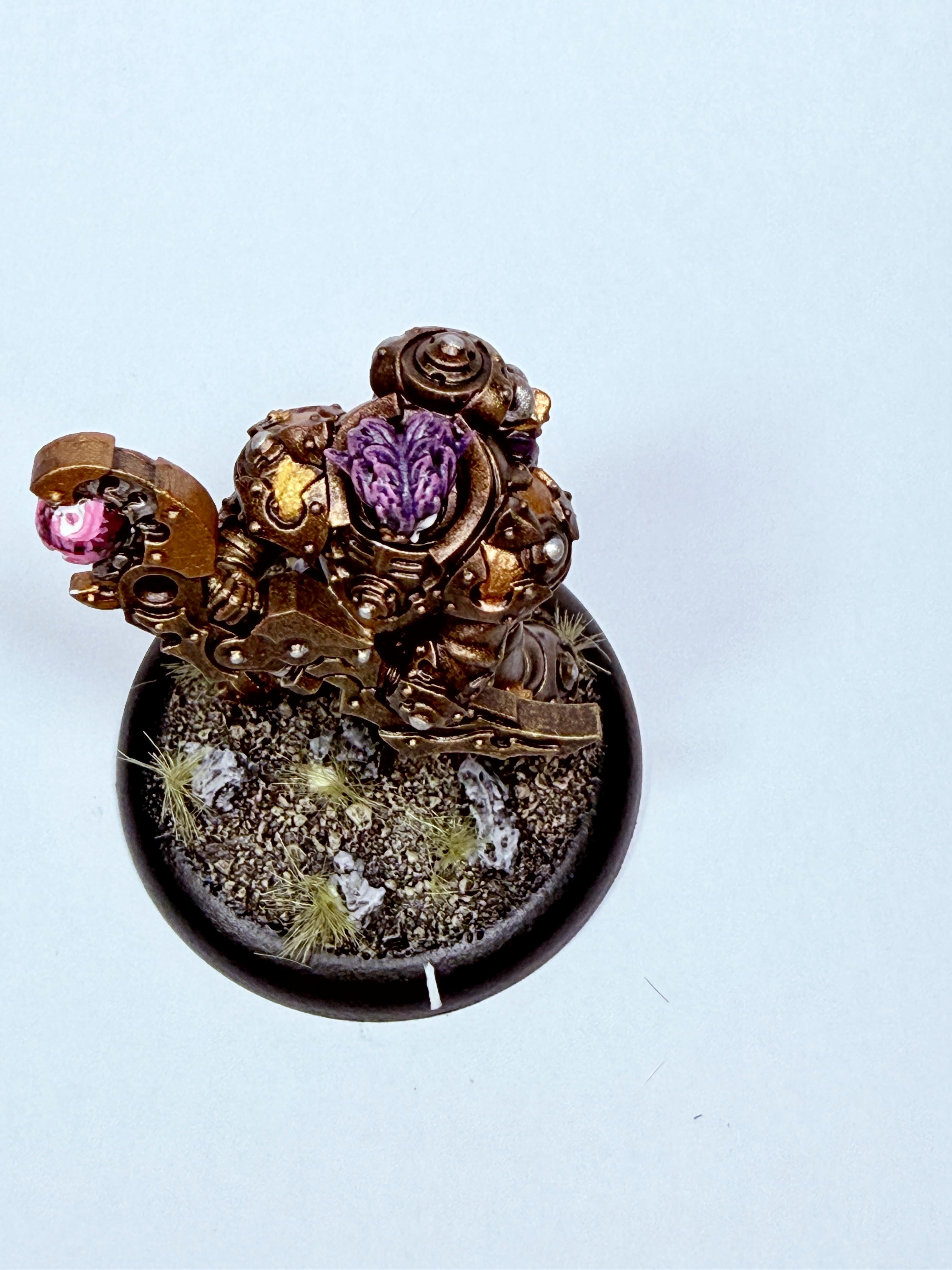 Dusk, Elves, House Kallyss, Solo, Vampire, Warmachine