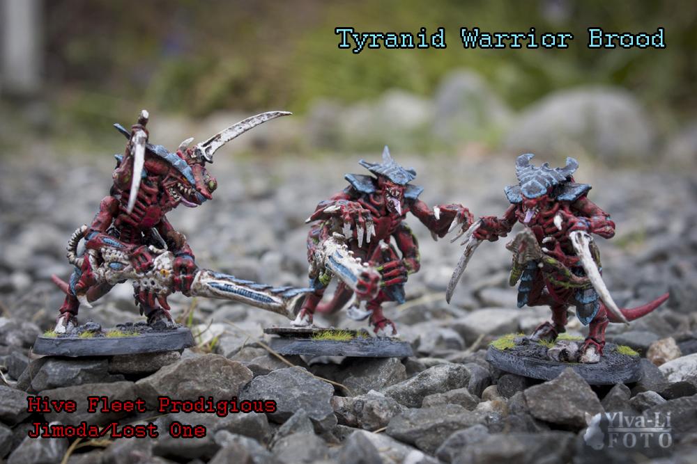 Tyranid warrior brood deals Warhammer 40k